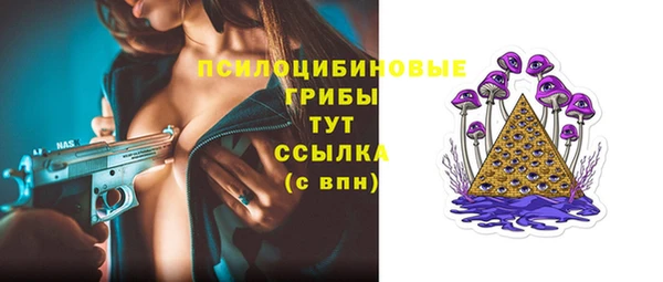 круглые Абаза