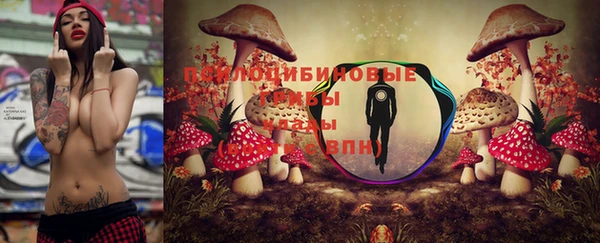 сатива Протвино