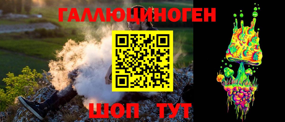Галлюциногенные грибы Psilocybe Сорочинск
