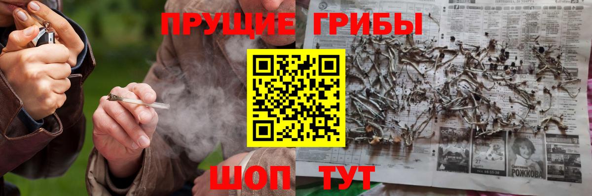 Сорочинск  Псилоцибиновые грибы ЛСД  Вход с VPN 